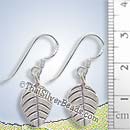 Oval Silver Leaf Earrings - Earp0137