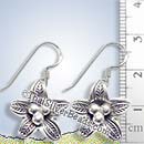 Sweet Flower Silver Earrings - Earp0251